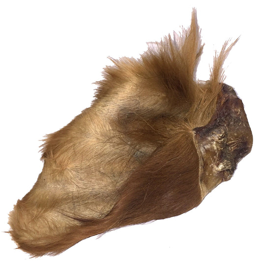 Cow Ear With Fur